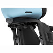 Scaun pentru copii, cu montare pe bicicleta in spate - Thule Yepp Nexxt 2 Maxi Aquamarine Blue Rack mounted