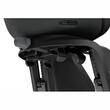 Scaun pentru copii, cu montare pe bicicleta in spate - Thule Yepp Nexxt 2 Maxi Rack mounted Midnight Black