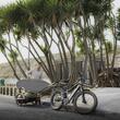 Remorca de bicicleta Thule Reacha Sport pentru echipamente sportive, roti standard