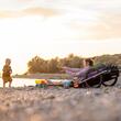 Remorca de bicicleta Thule Reacha Sport pentru echipamente sportive, roti standard