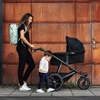 Carucior Thule Urban Glide 2 Single Aluminum/Dark Shadow (model2020)