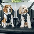 Ham auto pentru caini Thule Cappy, S