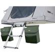 Set de 2 genti pentru ghete, Thule, Agave green