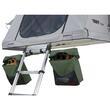 Set de 2 genti pentru ghete, Thule, Agave green