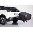 Cutie portbagaj pe carligul de remorcare TowBox Evo, Urban Negru