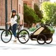 Carucior multisport, Thule Chariot Cab 2, Verde, pentru 2 copii