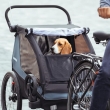 Remorca de bicicleta pentru transport copii Thule Courier AEGEAN BLUE 2 locuri