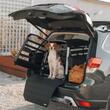 Cusca auto pentru caini Thule Allax XXL Compact