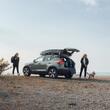 Cusca auto pentru caini Thule Allax L Compact