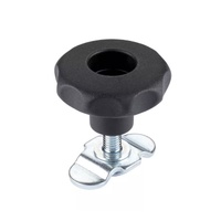 Element de fixare cu maner Allsafe KERL M8 x 22 S